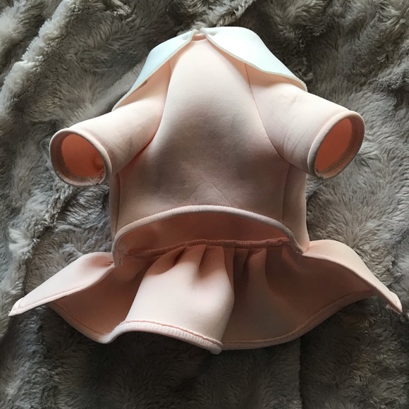 Dog dress - Picture 2 of 5